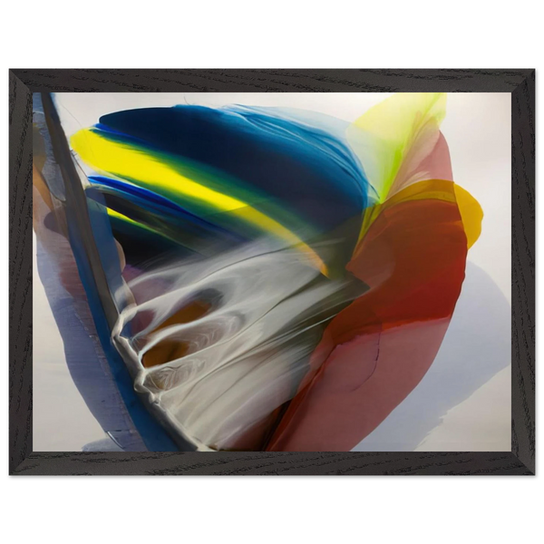 Wanderland Express - 1976 by Paul Jenkins — Framed art print at Zephyeer