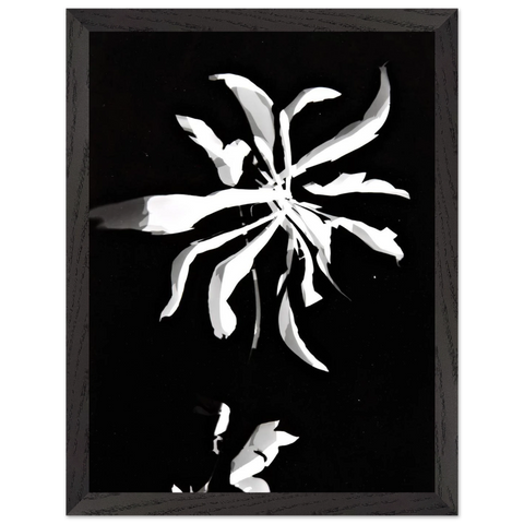 Changing patterns by Laszlo Moholy-Nagy — Framed art print at Zephyeer