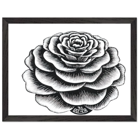FLOWER 1 by MC Escher — Framed art print at Zephyeer