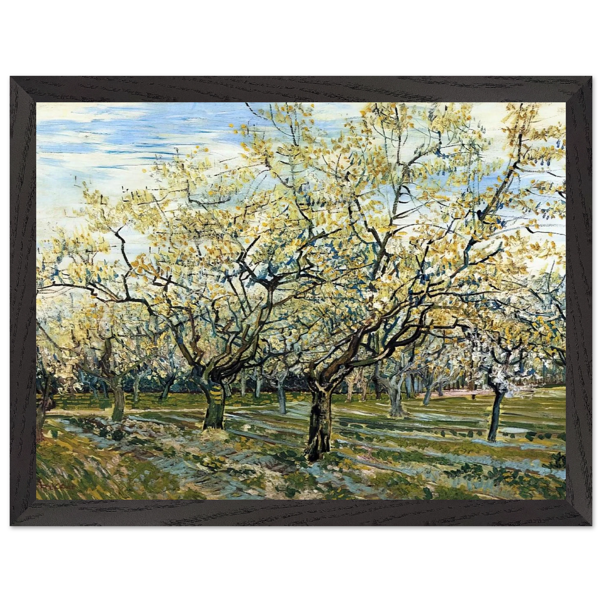 ab041c4e-9dd1-44dd-bc7a-9fc88a1c7f9d