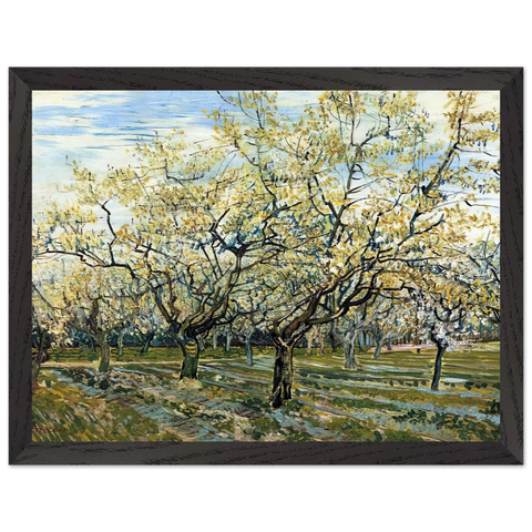 Orchard with Blossoming Plum Trees by Vincent van Gogh — Framed art print at Zephyeer