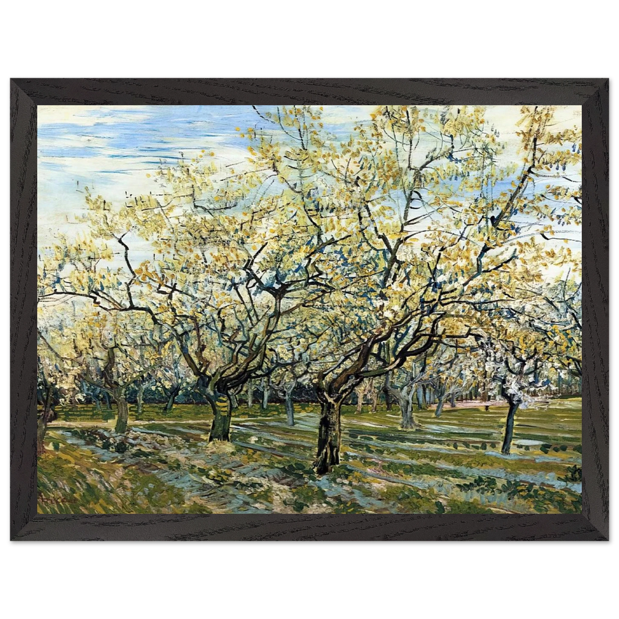 Orchard with Blossoming Plum Trees by Vincent van Gogh — Framed art print at Zephyeer
