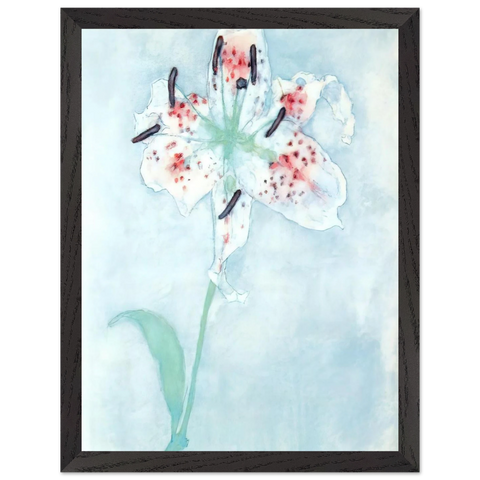Lily by Piet Mondrian — Framed art print at Zephyeer
