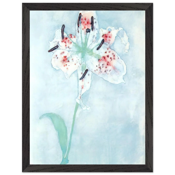 Lily by Piet Mondrian — Framed art print at Zephyeer