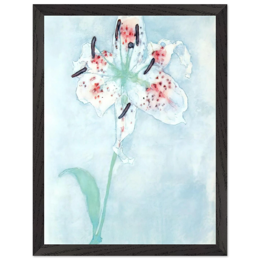 Lily by Piet Mondrian — Framed art print at Zephyeer