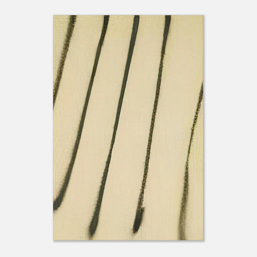 ab756517-5306-4ddf-a82a-798a565b546d