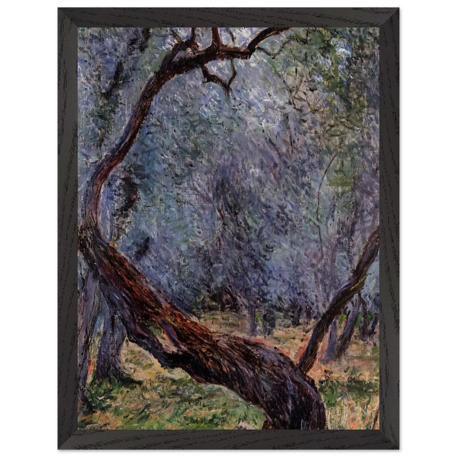 Olive Trees Study by Claude Monet — Framed art print at Zephyeer