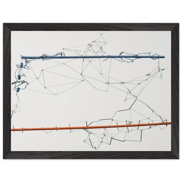 Drawing without Paper 8425 and 8426 - 1984 by Gego — Framed art print at Zephyeer