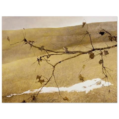 Apples on a Bough by Andrew Wyeth, poster