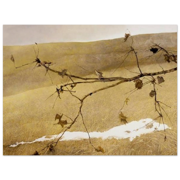Apples on a Bough by Andrew Wyeth, poster
