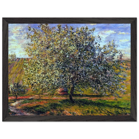 Tree in Flower near Vetheuil by Claude Monet — Framed art print at Zephyeer