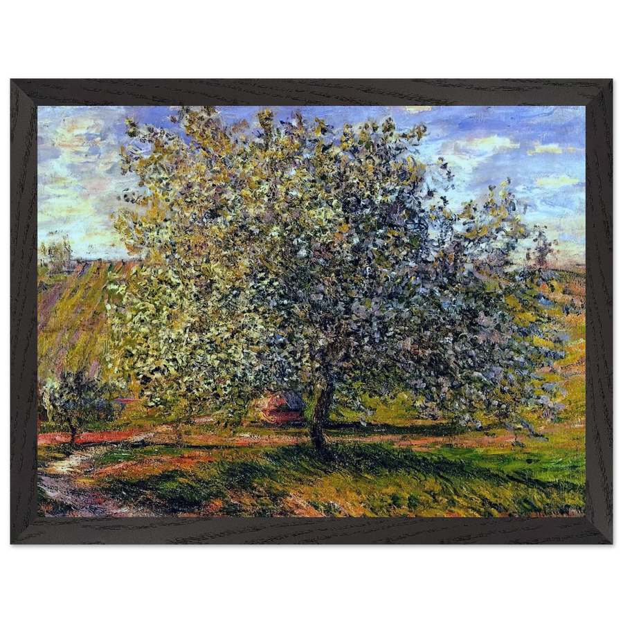 Tree in Flower near Vetheuil by Claude Monet — Framed art print at Zephyeer