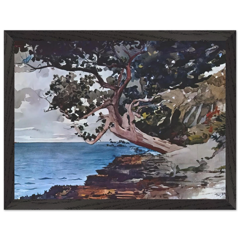 NORTH ROAD BERMUDA by Winslow Homer — Framed art print at Zephyeer