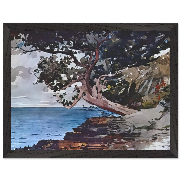 NORTH ROAD BERMUDA by Winslow Homer — Framed art print at Zephyeer