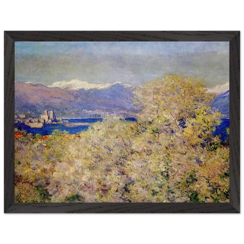 Antibes - View of the Salis Gardens by Claude Monet — Framed art print at Zephyeer
