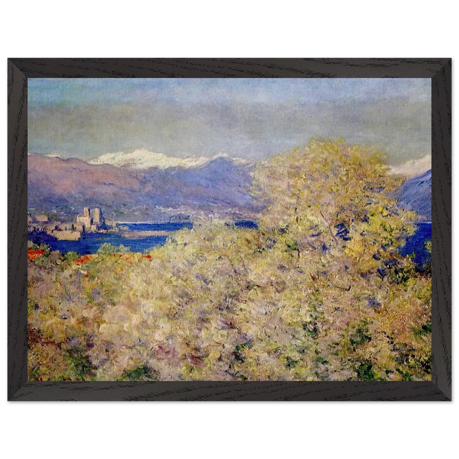 Antibes - View of the Salis Gardens by Claude Monet — Framed art print at Zephyeer