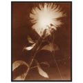 b7509246-8167-4b10-ac73-080493d3f754