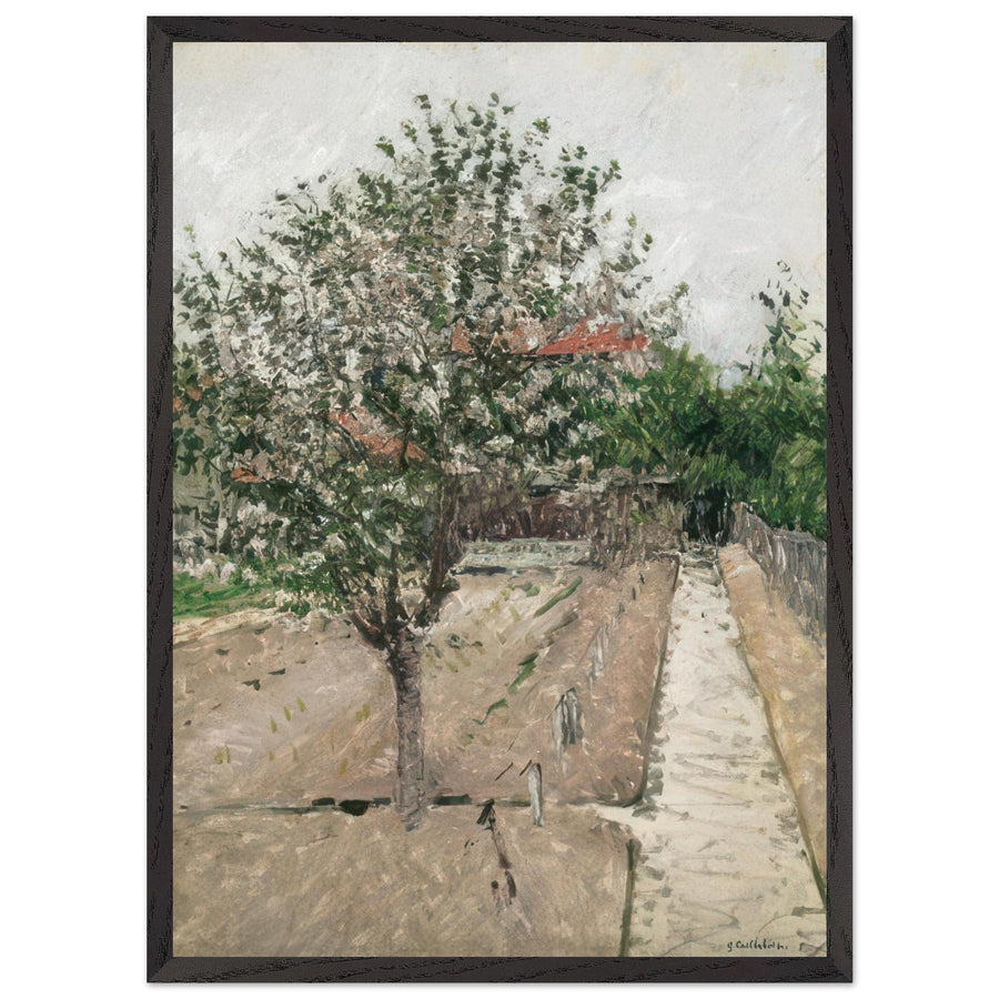 APPLE TREE IN BLOSSOM by Gustave Caillebotte — Framed art print at Zephyeer
