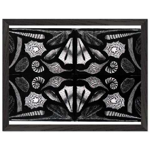 ESCHER (5) by MC Escher — Framed art print at Zephyeer