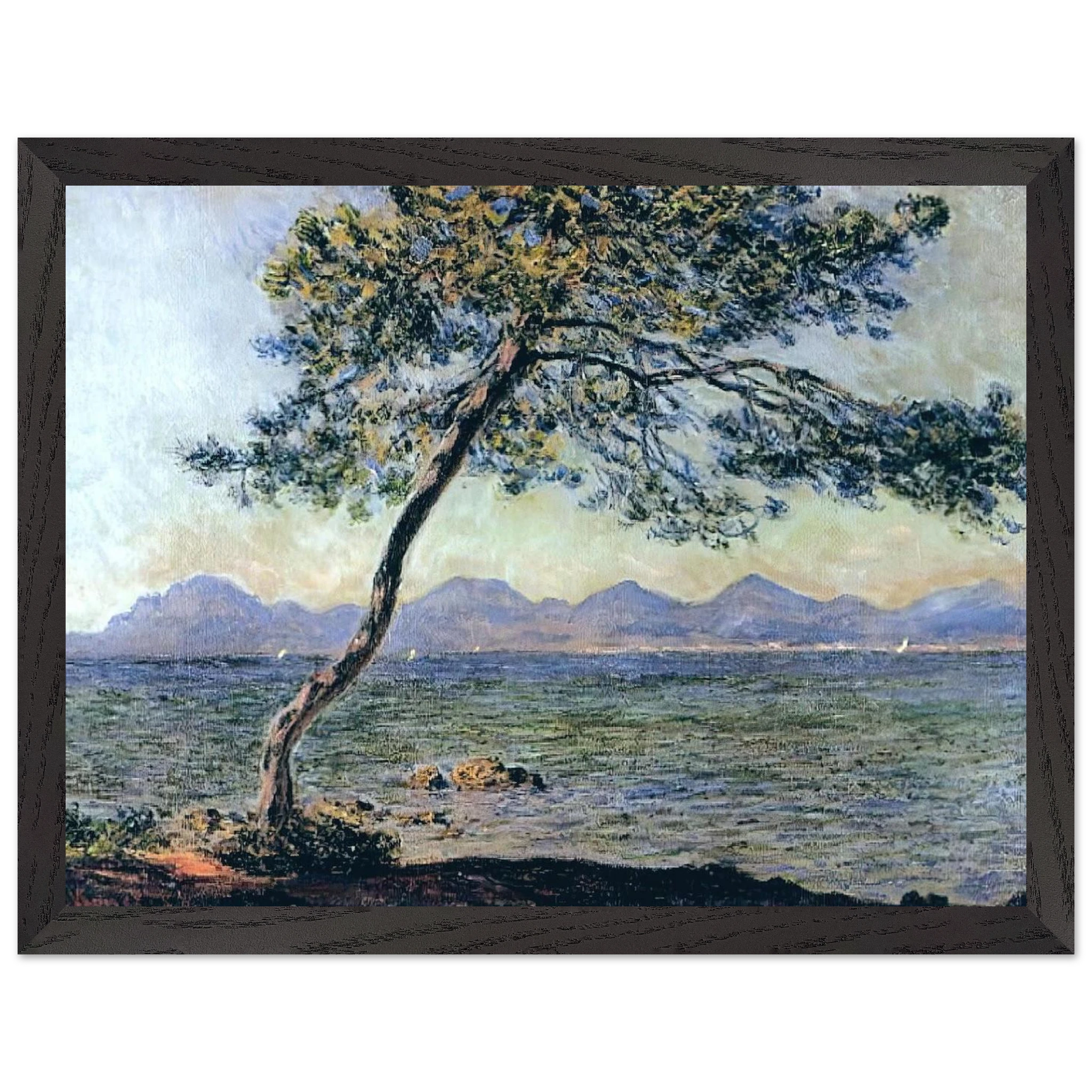 b9c47b99-44bf-4a7a-a06b-db421f9ccac6