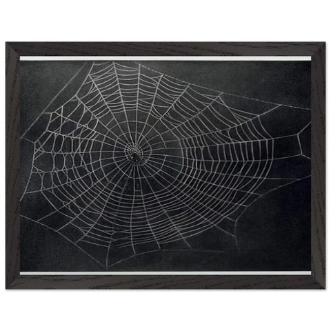 UNTITLED SPIDER WEB 2000 by Vija Celmins — Framed art print at Zephyeer
