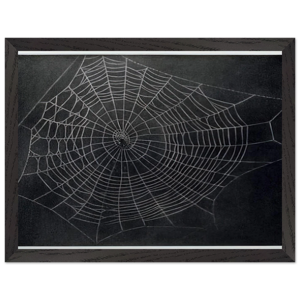 UNTITLED SPIDER WEB 2000 by Vija Celmins — Framed art print at Zephyeer
