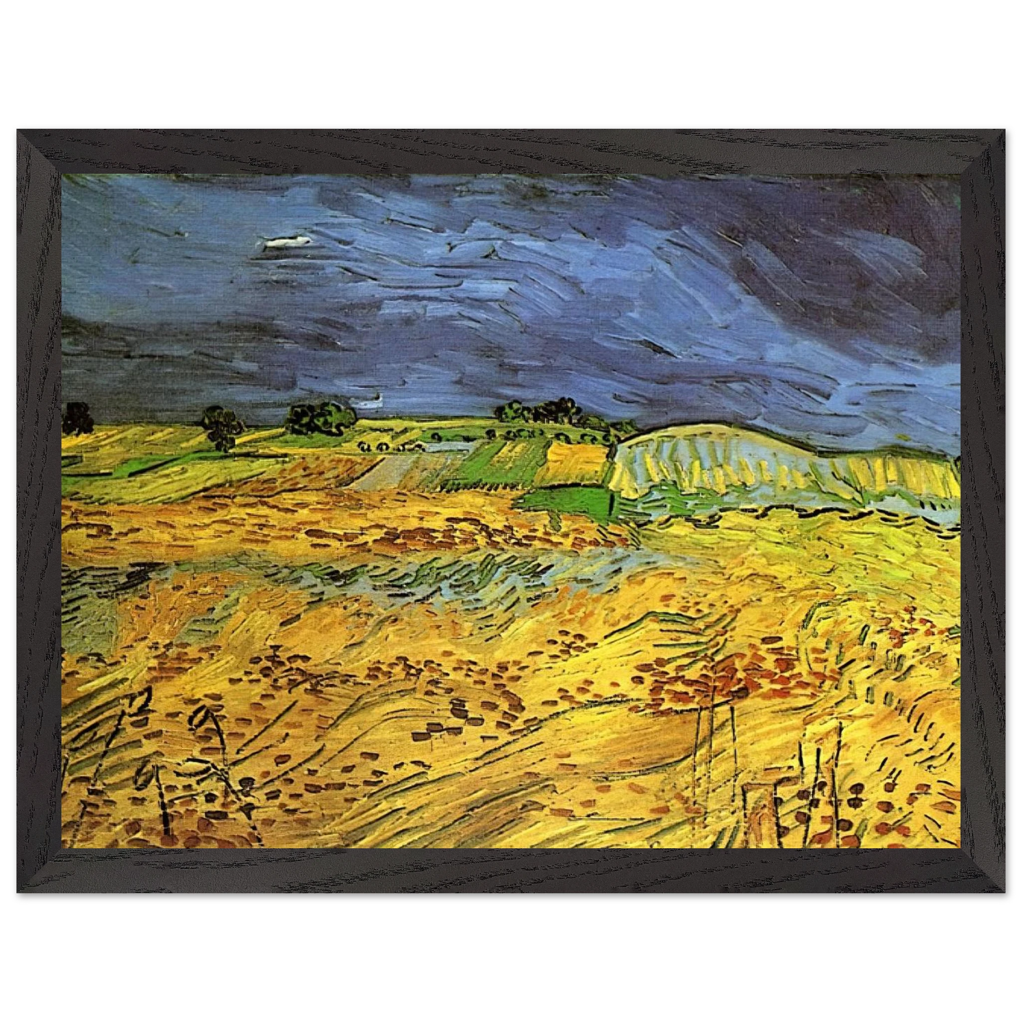 c2ce3203-c6a6-4a39-b3e9-b2e2516cd895