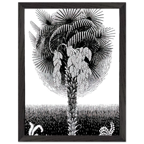 PALM TREE by MC Escher — Framed art print at Zephyeer