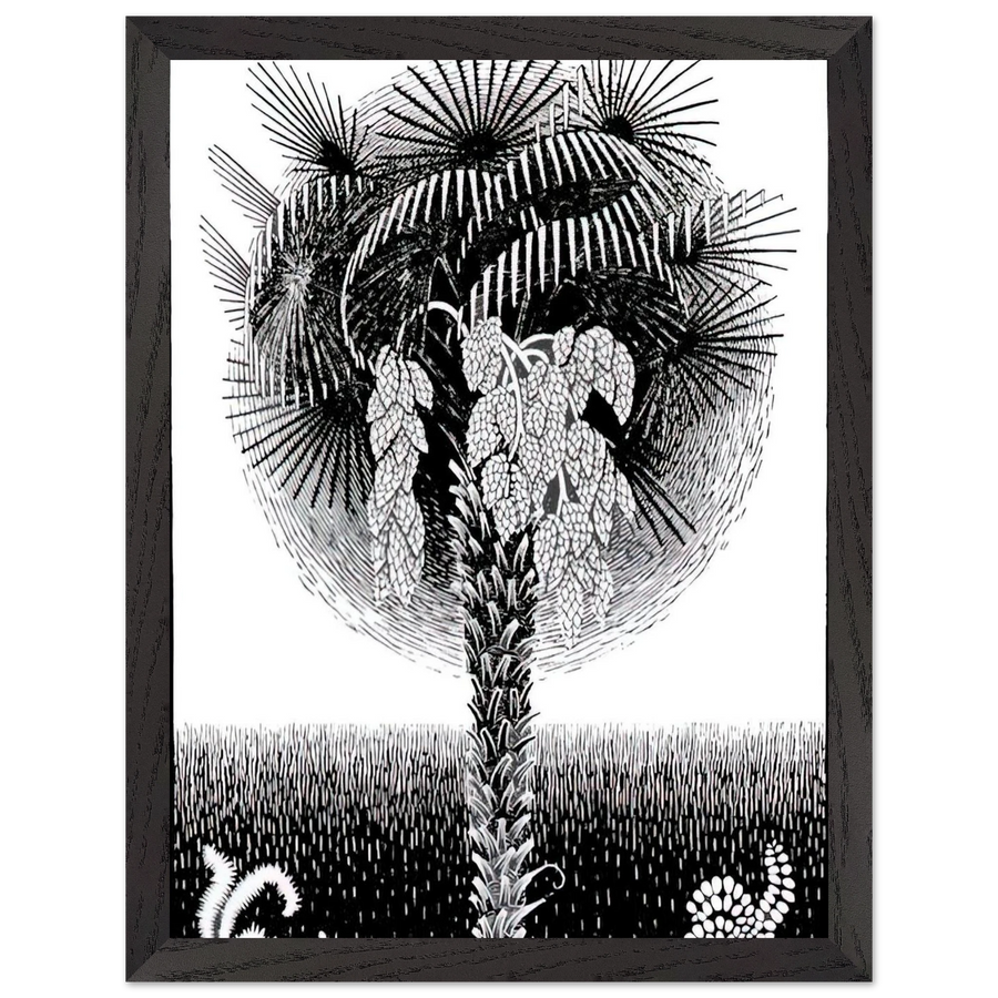 PALM TREE by MC Escher — Framed art print at Zephyeer