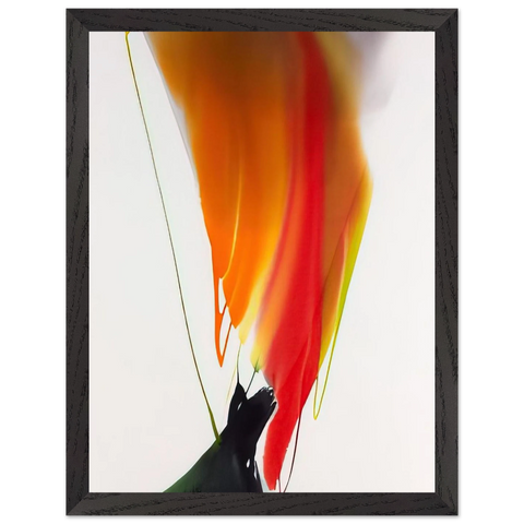 Phenomena Woman Witch by Paul Jenkins — Framed art print at Zephyeer
