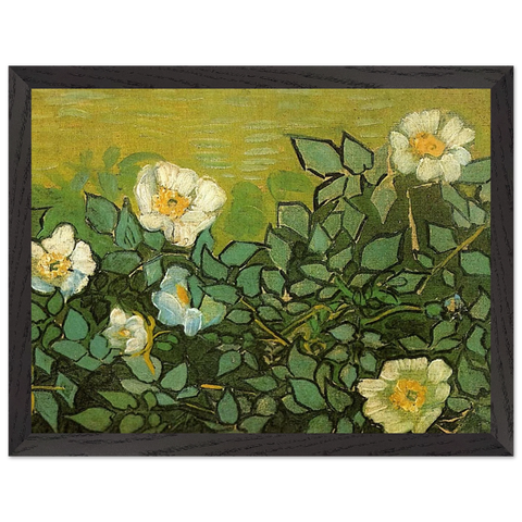 Wild Roses by Vincent van Gogh — Framed art print at Zephyeer