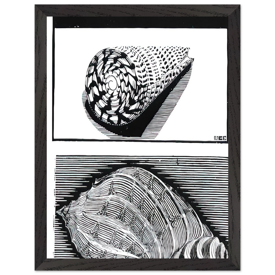SEA SHELLS by MC Escher — Framed art print at Zephyeer