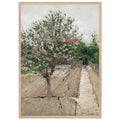 APPLE TREE IN BLOSSOM by Gustave Caillebotte — Framed art print at Zephyeer