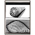 cc702493-a457-48ee-98a8-59545ad22bbe