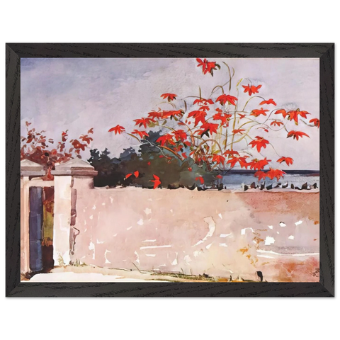 A WALL NASSAU by Winslow Homer — Framed art print at Zephyeer