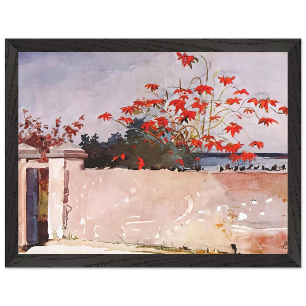 A WALL NASSAU by Winslow Homer — Framed art print at Zephyeer