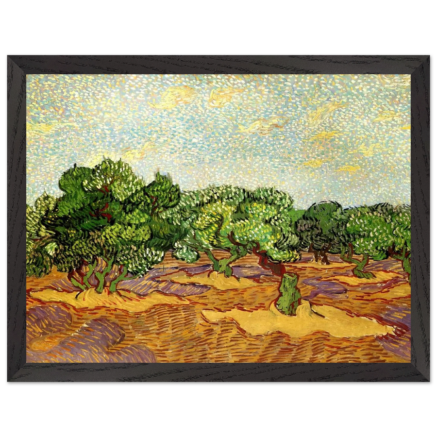 Olive Grove - Pale Blue Sky by Vincent van Gogh — Framed art print at Zephyeer