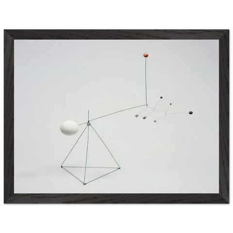 SMALL FEATHERS 1931 by Alexander Calder — Framed art print at Zephyeer