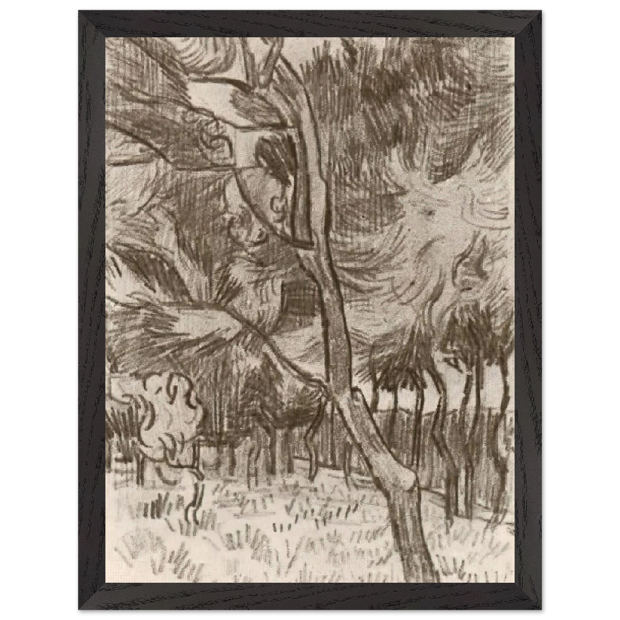 Pine Trees in the Garden of the Asylum by Vincent van Gogh — Framed art print at Zephyeer