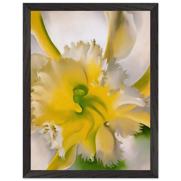 d2e88c6d-54a4-4227-a2dc-6d4851b56d36