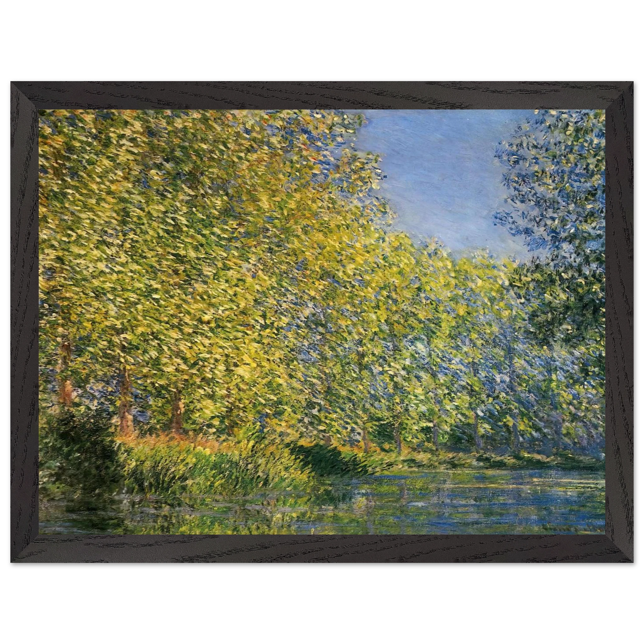 d3b6c6ab-c8b1-436a-b2ce-58cffcfe2242