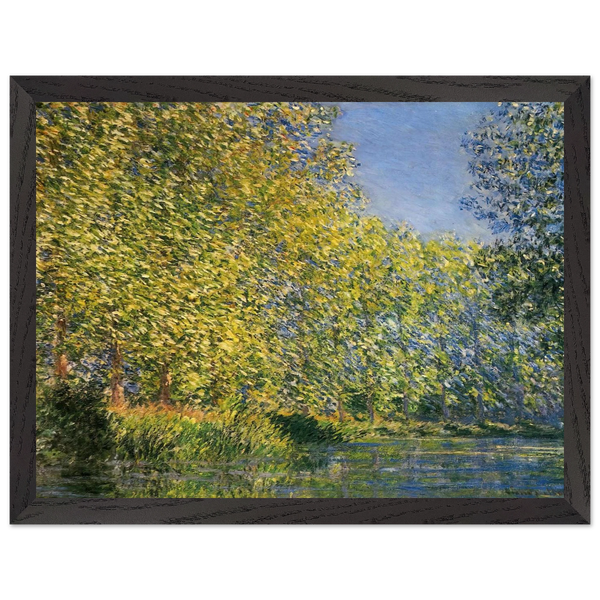 d3b6c6ab-c8b1-436a-b2ce-58cffcfe2242