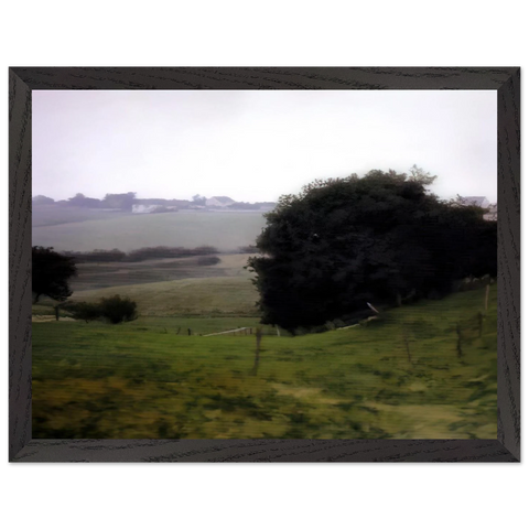MEADOWLAND by Gerhard Richter — Framed art print at Zephyeer