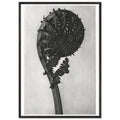 d49f901f-87ea-4c2b-86c5-2bd2fc3fcbd6