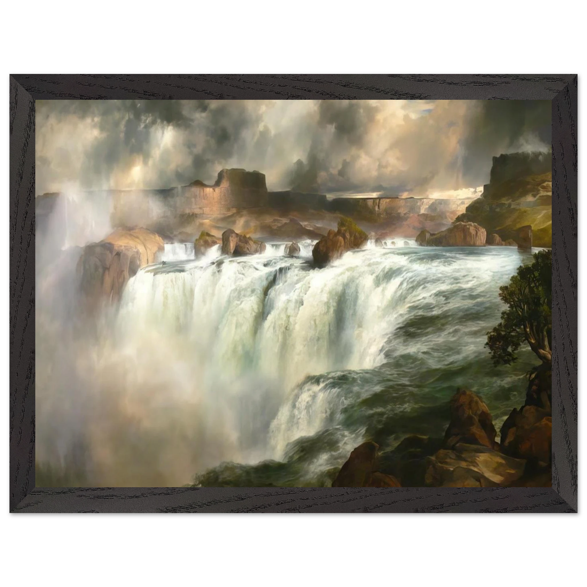 d834ce4f-4008-4772-9531-a50855cc5583