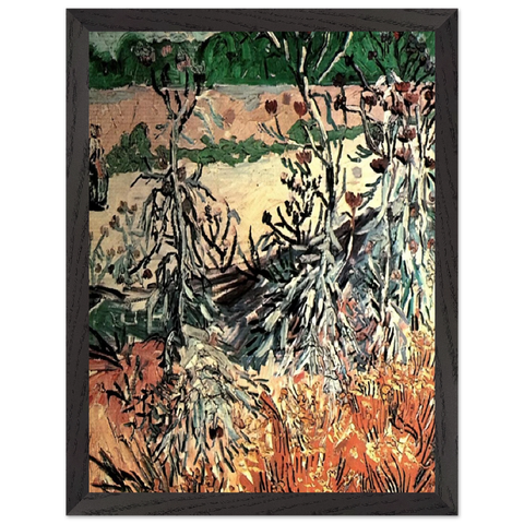 Thistles by Vincent van Gogh — Framed art print at Zephyeer