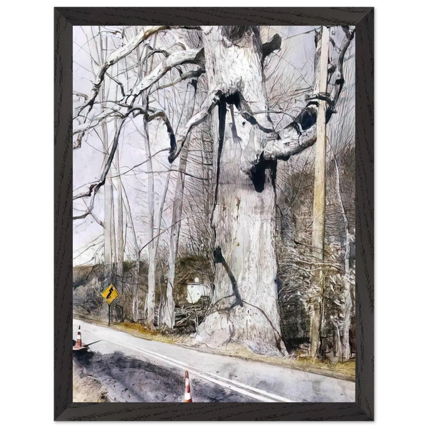 WALKING STICK by Andrew Wyeth — Framed art print at Zephyeer