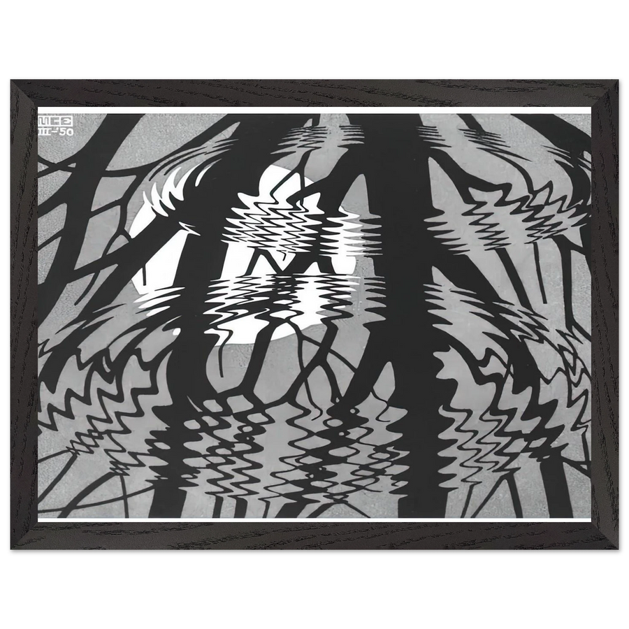 RIPPLED SURFACE by MC Escher — Framed art print at Zephyeer