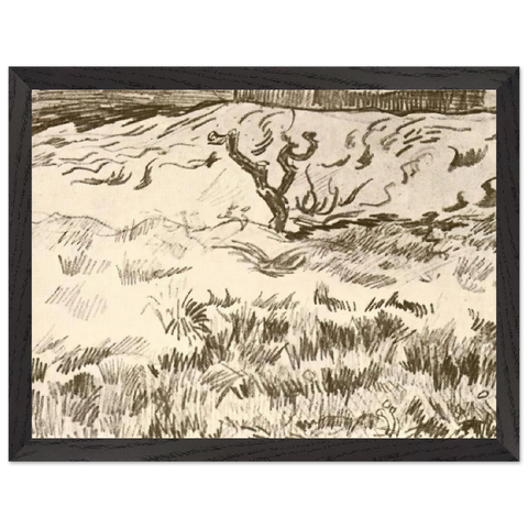 Field with Bare Tree by Vincent van Gogh — Framed art print at Zephyeer