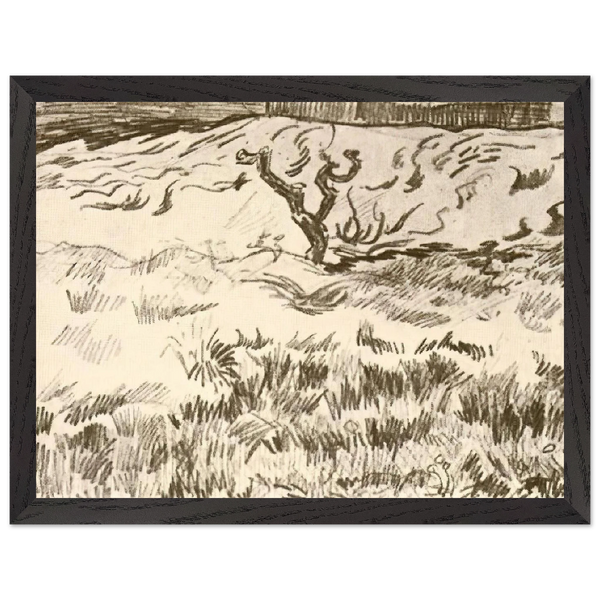 Field with Bare Tree by Vincent van Gogh — Framed art print at Zephyeer